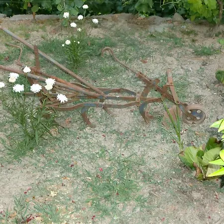 Ferienhaus Quinta Lindas 2