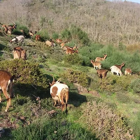 Quinta Lindas 2 Prázdninový dům