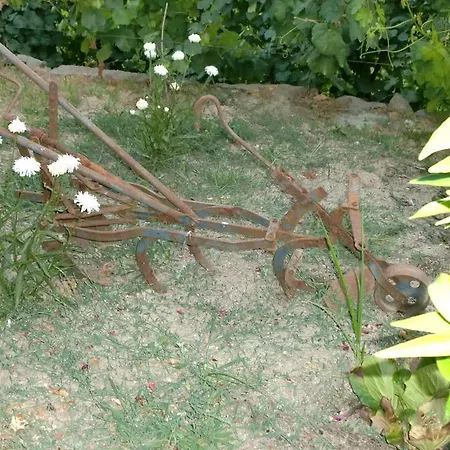 Ferienhaus Quinta Lindas 2 Mondim de Basto