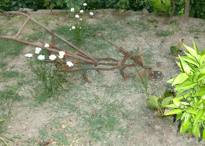 別荘 Quinta Lindas 2