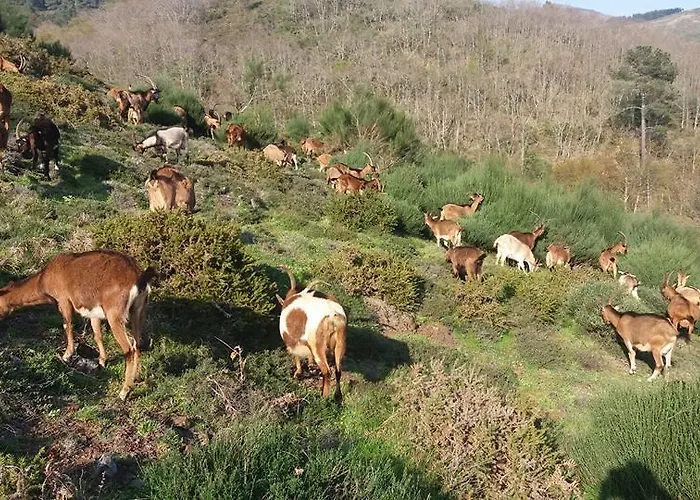 Quinta Lindas 2 別荘