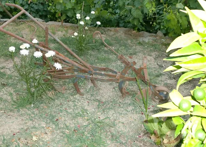 בית נופש Quinta Lindas 2 מונדים דה בסטו