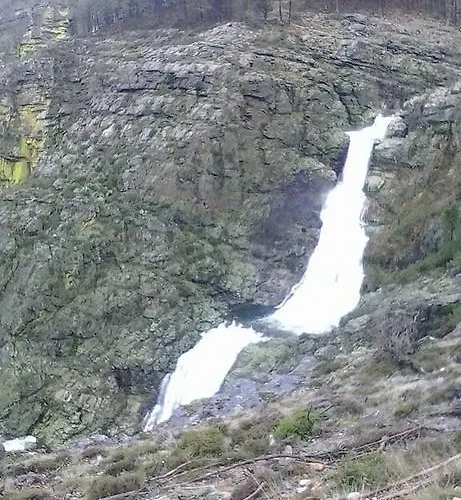 Quinta Lindas 2 モンジン・デ・バスト